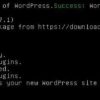 wordpress installation successful