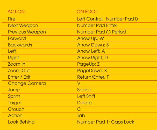 standard controls when on foot