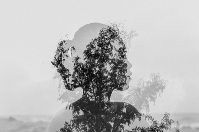 photoshop double exposure